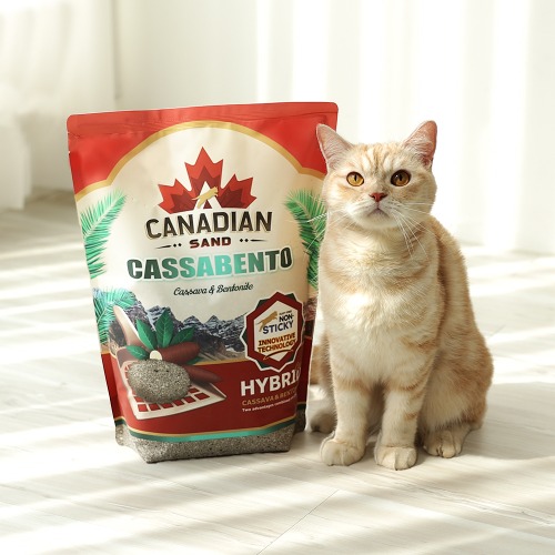 캐네디언샌드 카사벤토 고양이모래 4.3kg